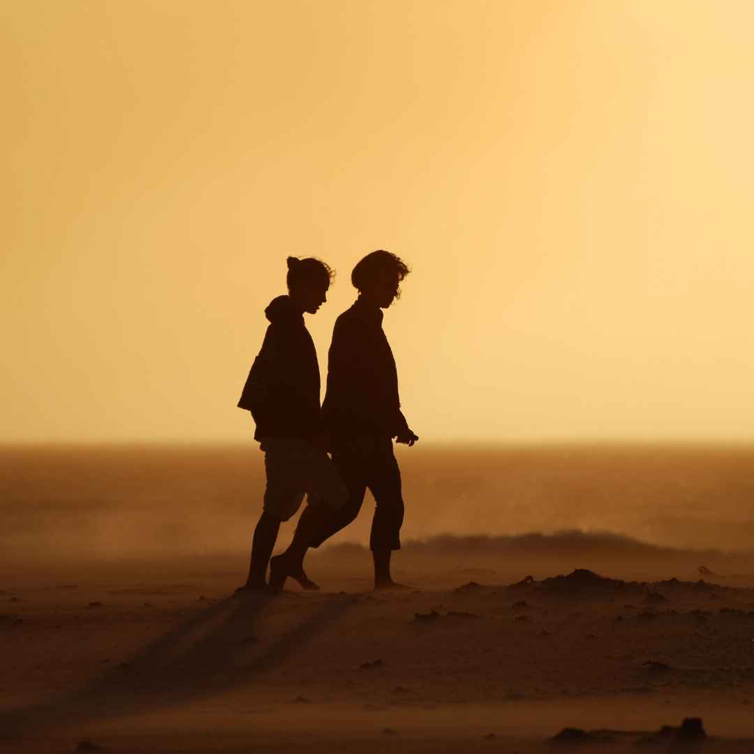 We stay by your side - TrueClarity Wealth